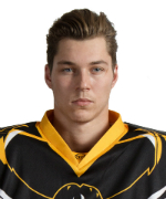 Elvis Merzlikins