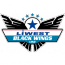 Black Wings Linz